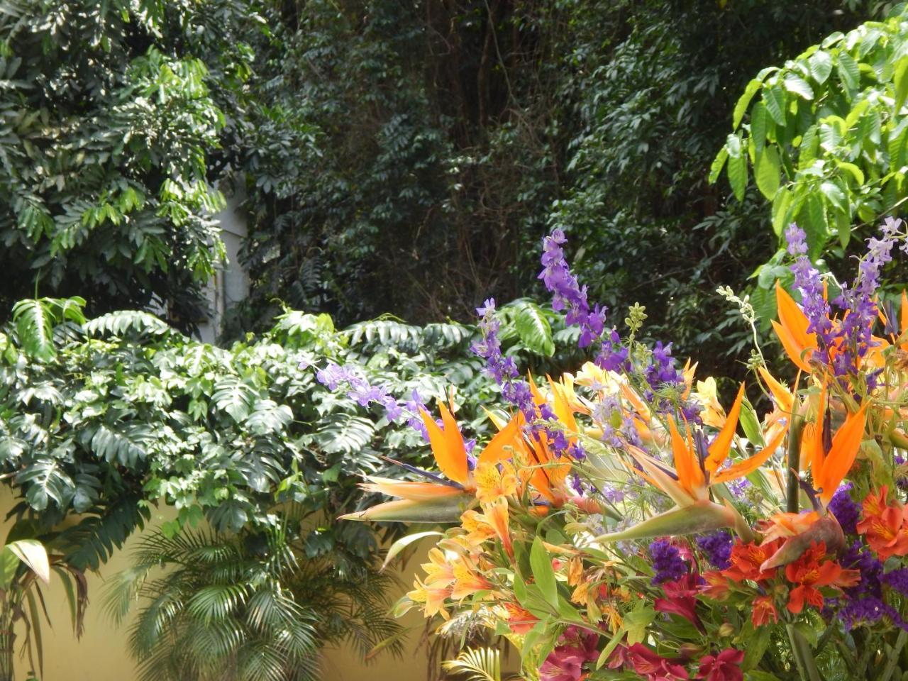 Casa Sao Conrado Hotel Rio de Janeiro Luaran gambar